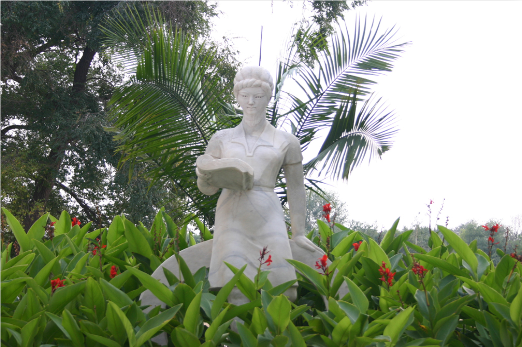 艺术类招生100人！211工程东北林业大学2022年录取需要多少分？