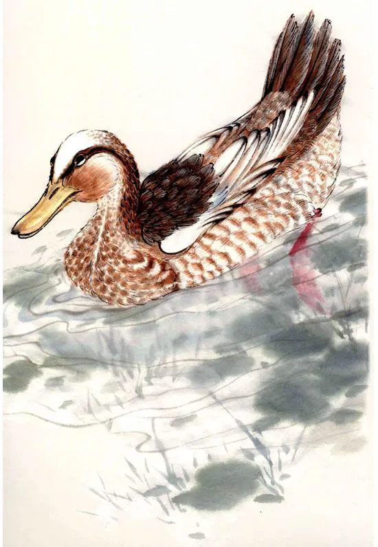 鸭的工笔画法