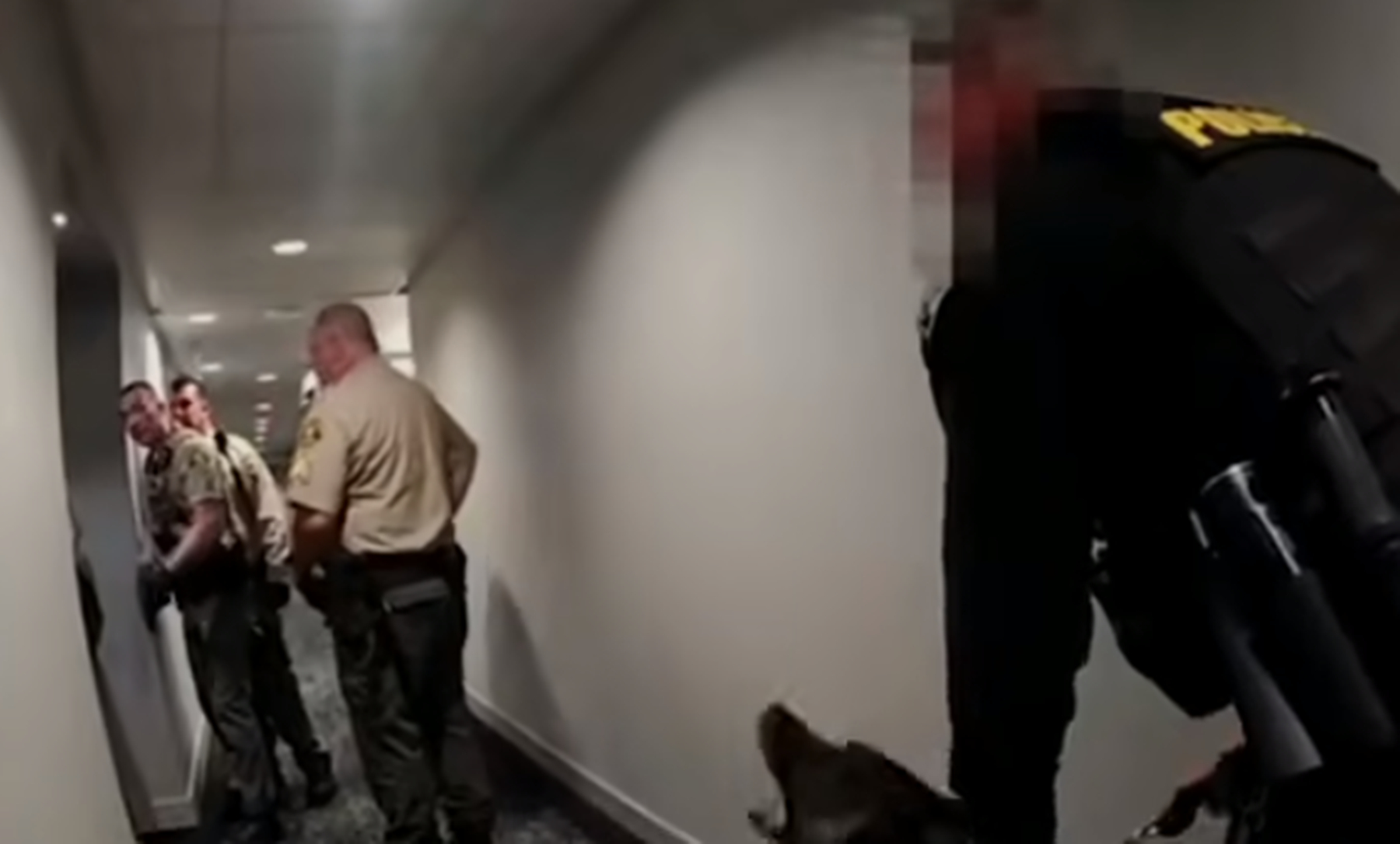 2022年，华裔女博士在美遭9名警察乱枪射杀，事情真相究竟是什么