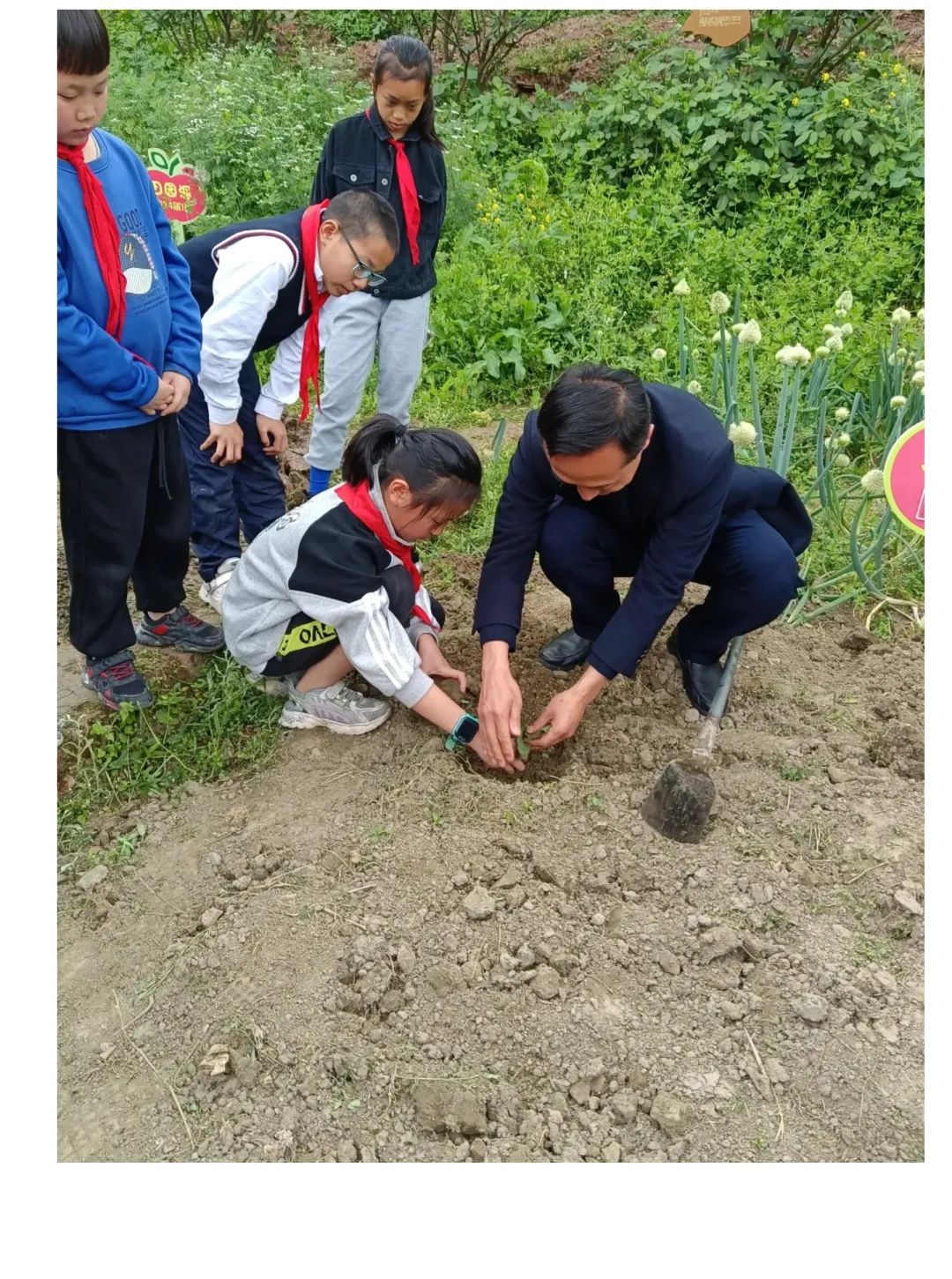 天府新区大林小学开展“春耕节”和“春意VS烟火”劳动实践活动