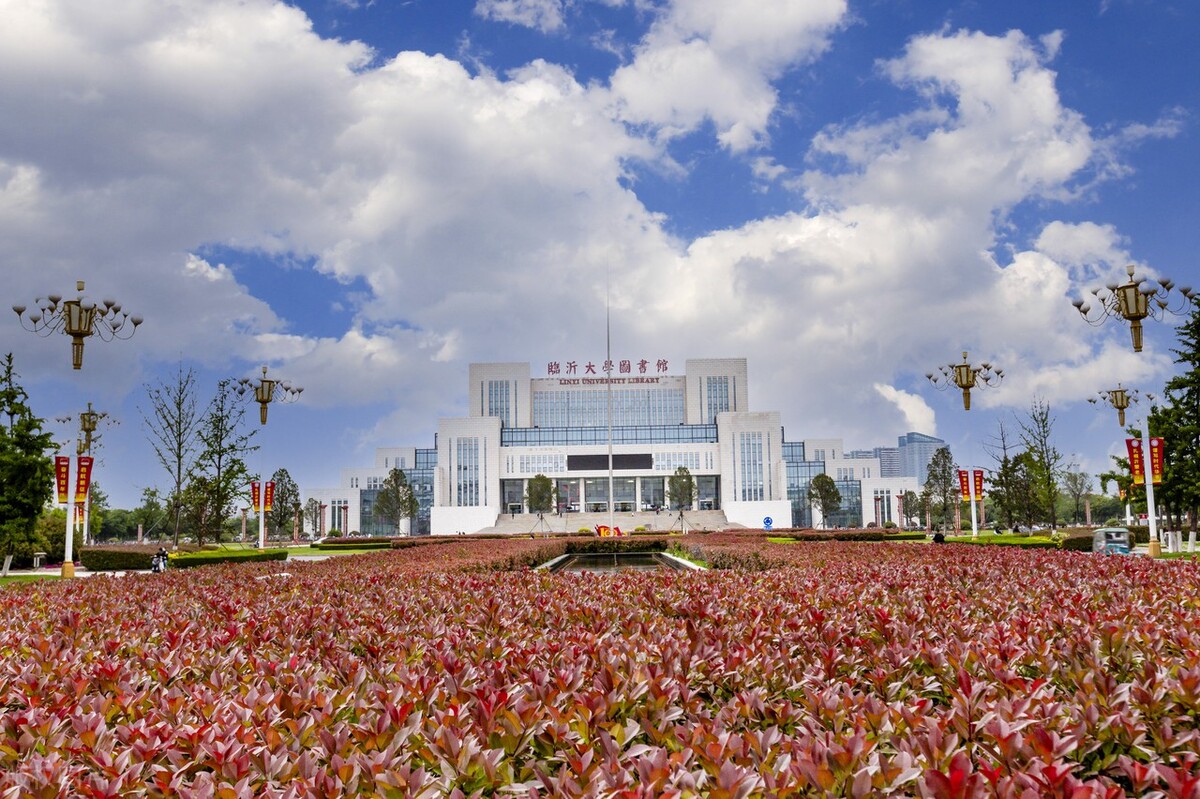 2022年高考，山东这5所大学新增中外合作项目，收分略低，收藏