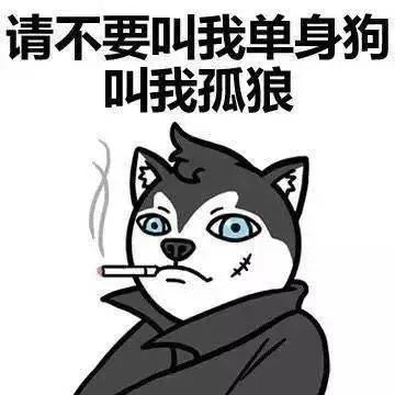 适合520发的单身文案让你在朋友圈C位出道