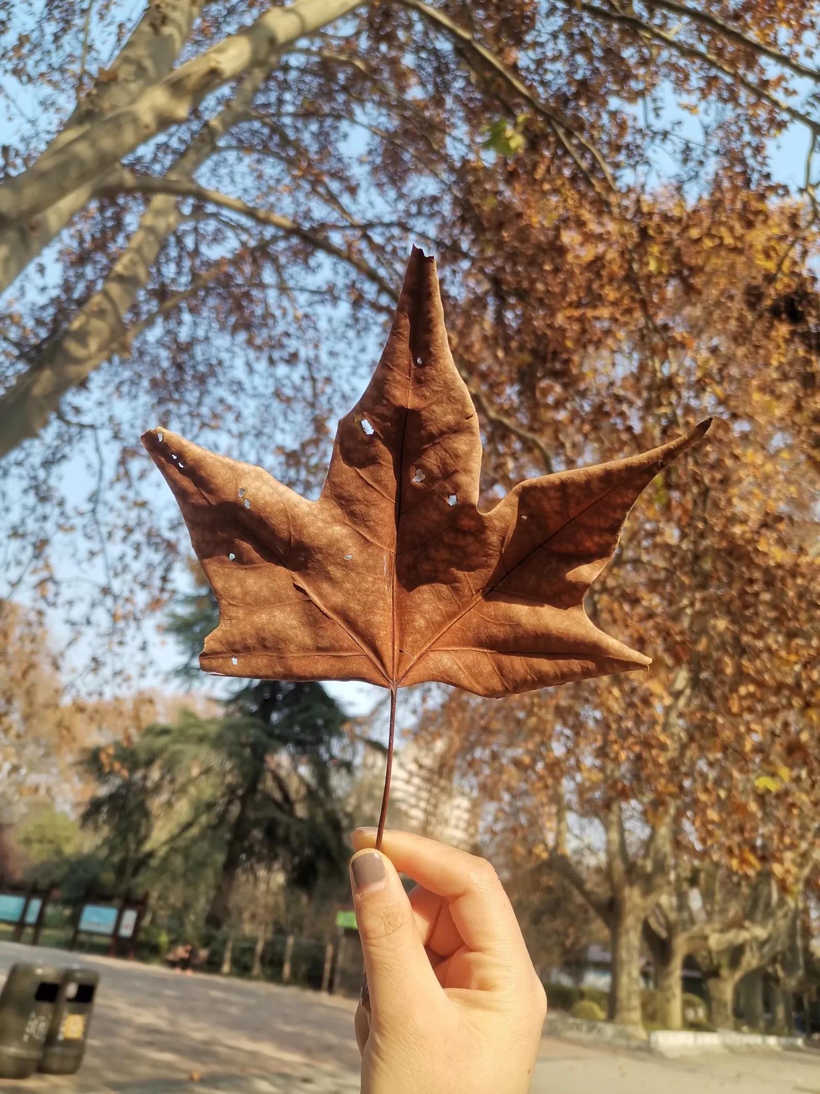 如何走出失恋的伤痛，这三个方法也许有用