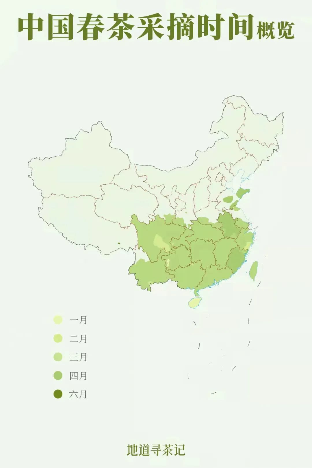 快40000元一斤的“明前茶”，到底贵在哪儿？