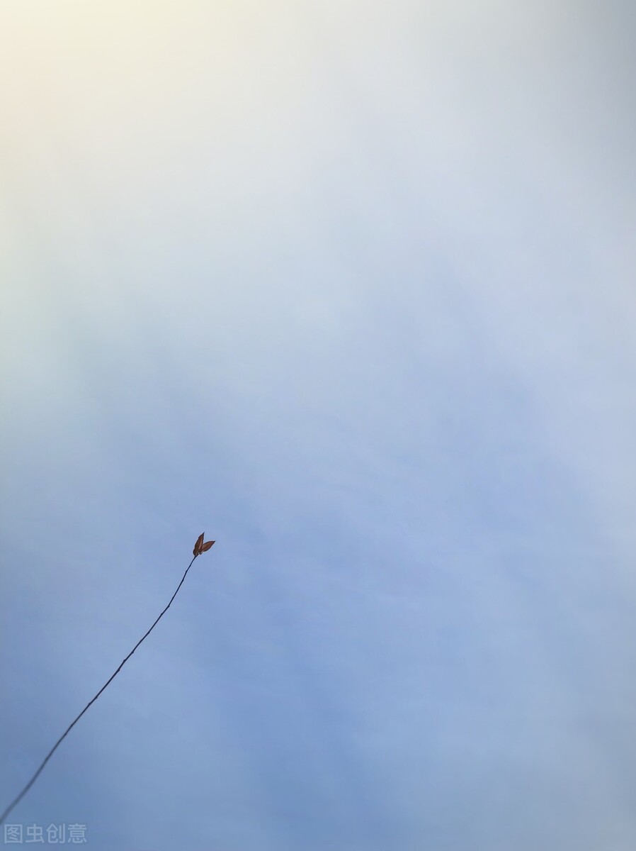 女相的男人（短篇小说）