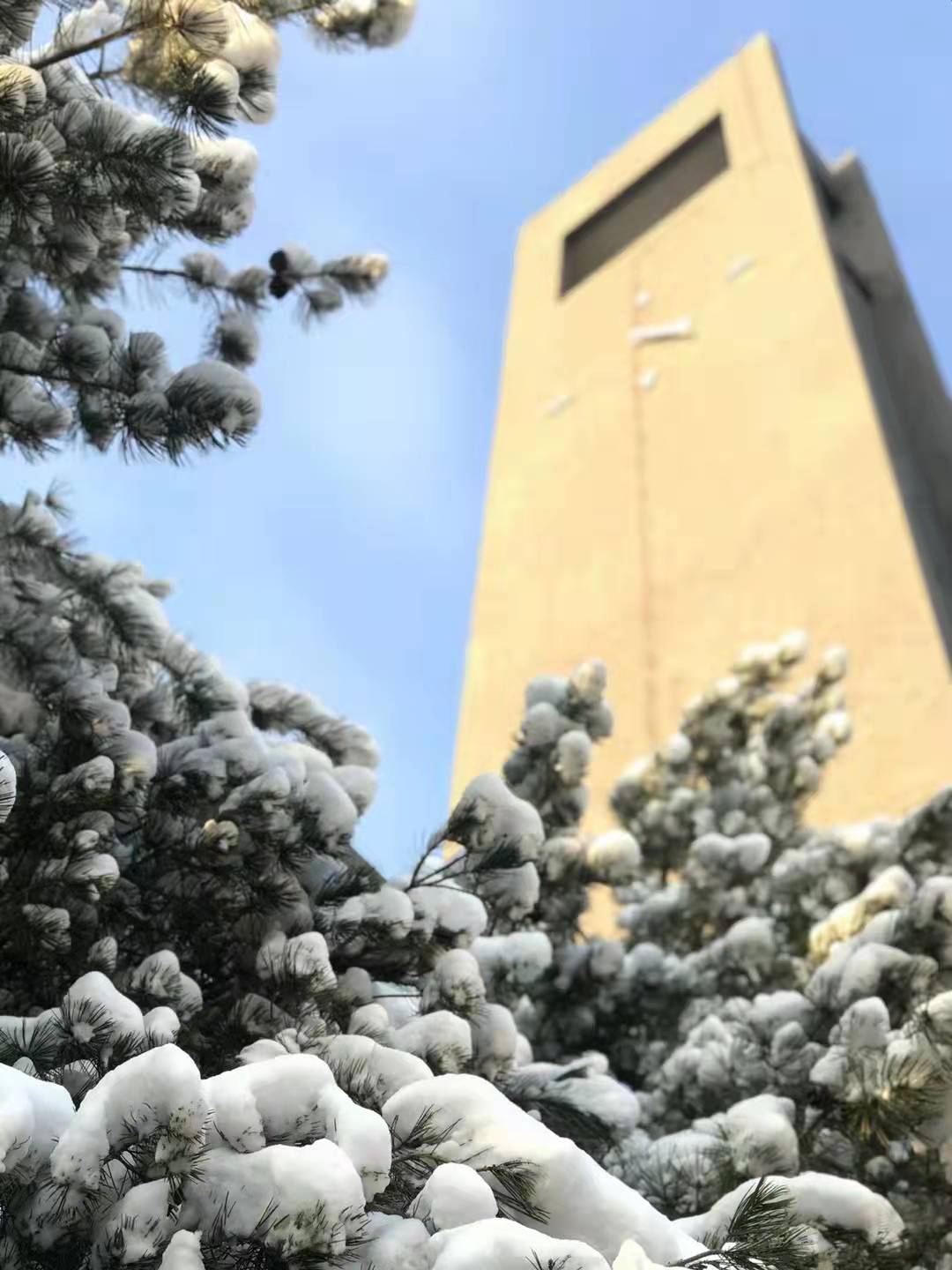 留学归国，我被“保送”了央美博士