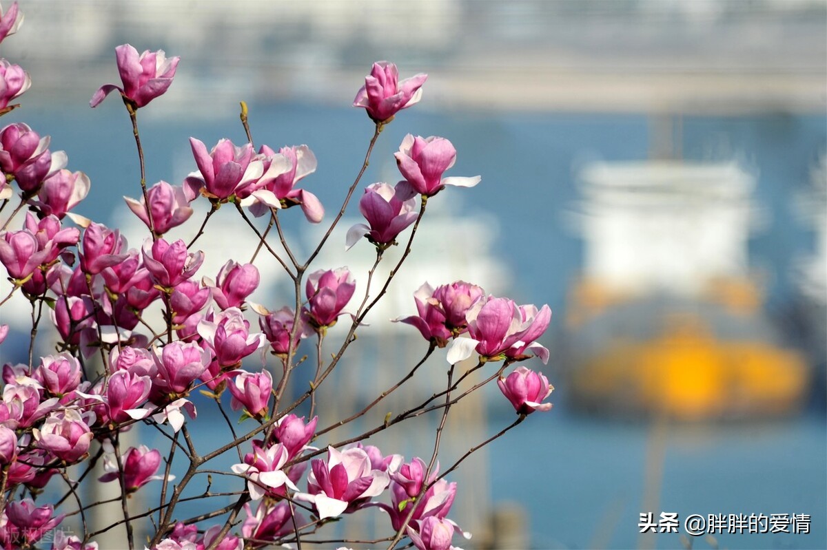 最好的生活就是：不嫉妒别人，不看轻自己，岁月静好，别来无恙