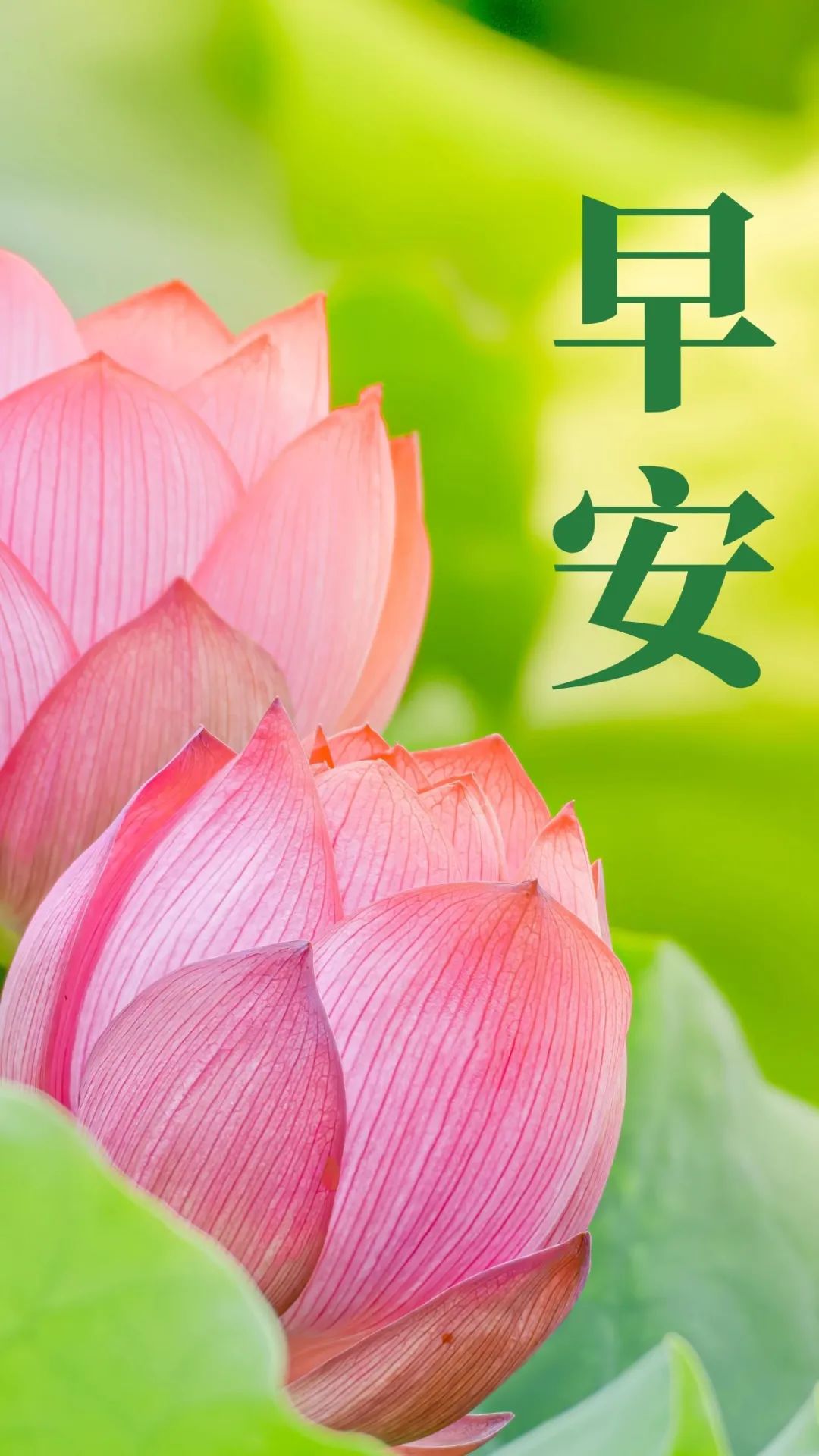 「2022.04.04」早安心语，正能量朋友圈语录图文，早安问候语图片