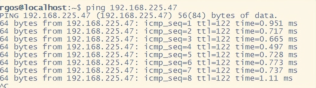 ICMP回显报文——ping程序