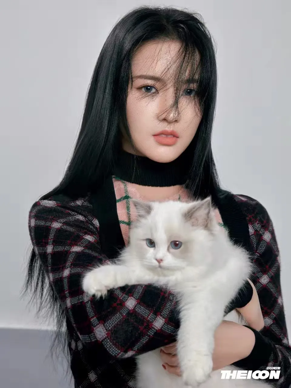 资本爱猫,不爱猫咖
