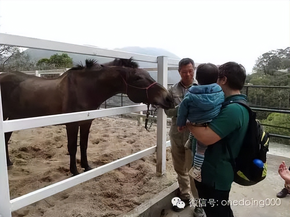 這是座植物園，卻可以教我們?cè)O(shè)計(jì)經(jīng)典的樸門農(nóng)園