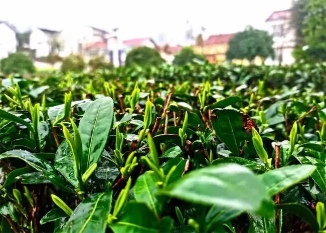 2022�����ɺ��²迪�� ������������������Ļ