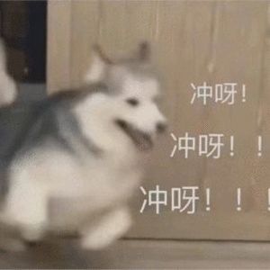 优微推荐丨计算机二级倒计时来啦