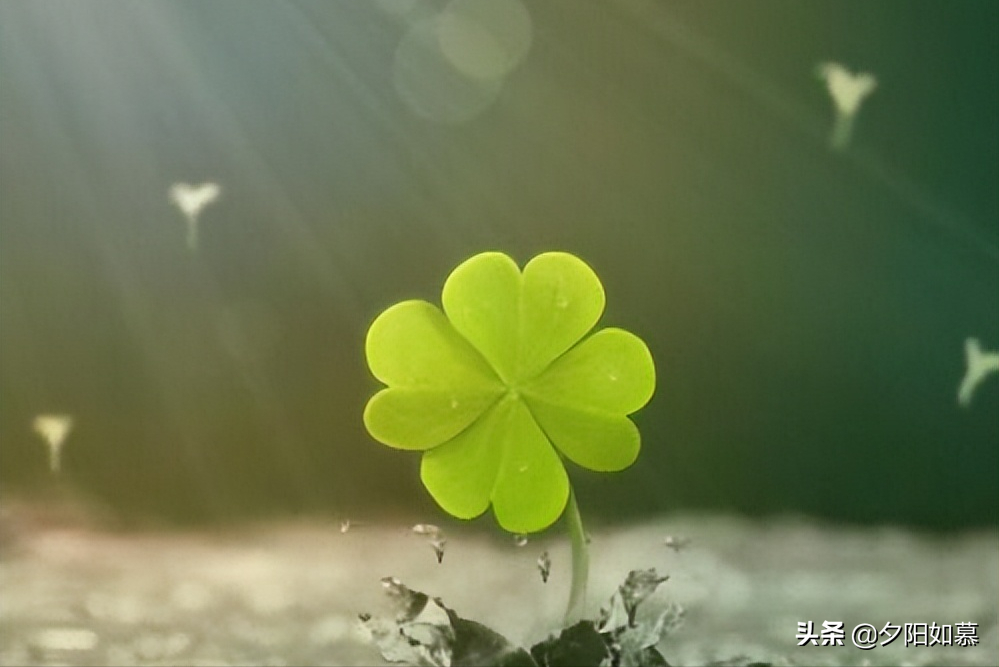 一句话的简单缘分说说句子 简短的缘分句子