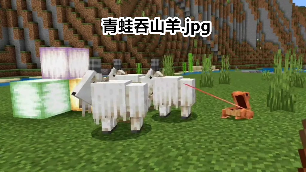 田雞是青蛙嗎,田雞是青蛙嗎?田雞和青蛙有什么區別?