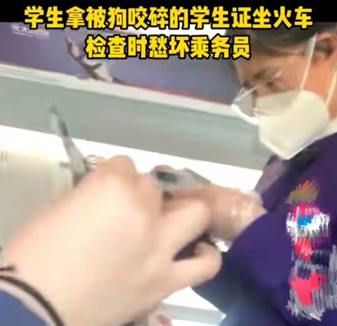 学生拿被狗咬碎的学生证坐车，装了一袋子，网友：有用的一处没少