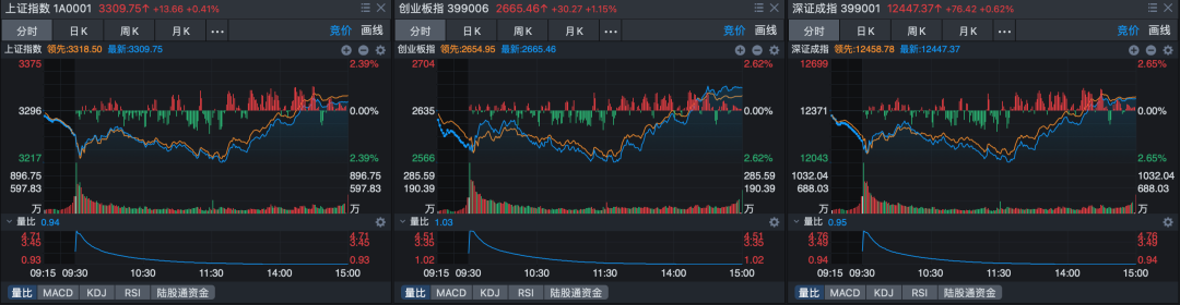 暴跌后的A股，机会来了_