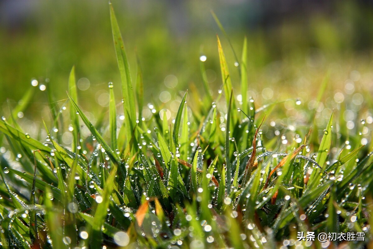 温柔冬雨五首：一阵暗香风送到，梅花窗外雨绵绵