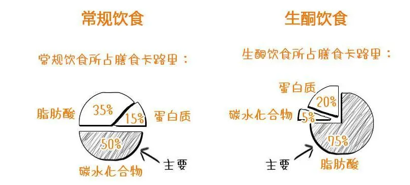 陈乔恩拍戏吃太胖，其实火锅吃对了反而瘦