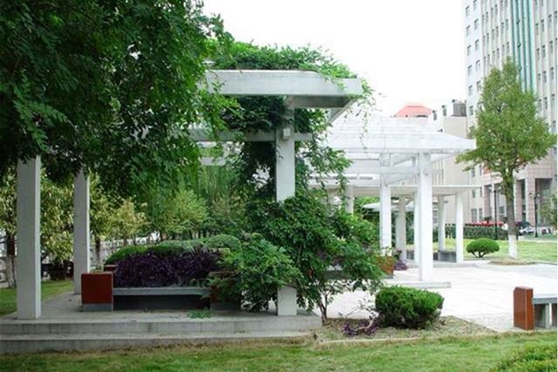 音乐美术校考60+统考300！扬州大学2022年艺术类录取需要多少分？