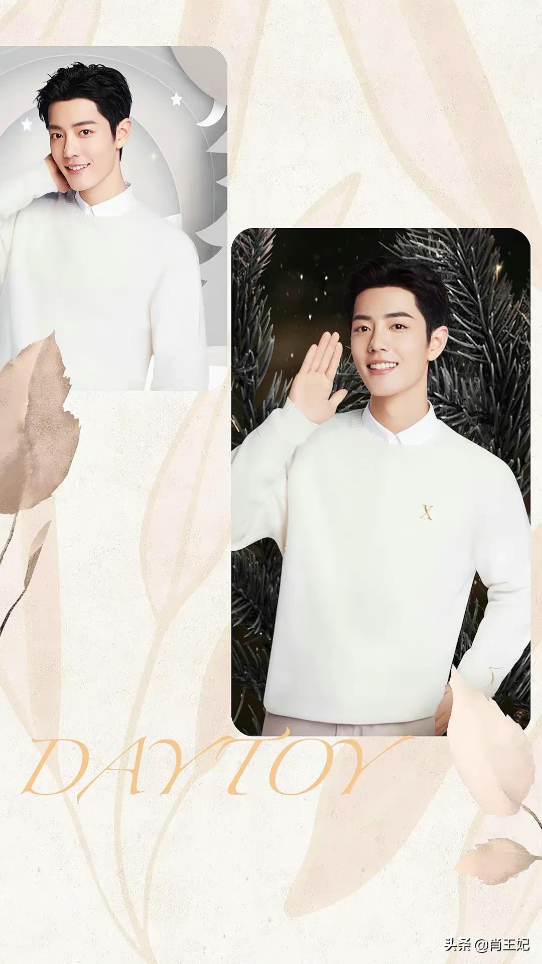 肖战这套图我真的存了好多次