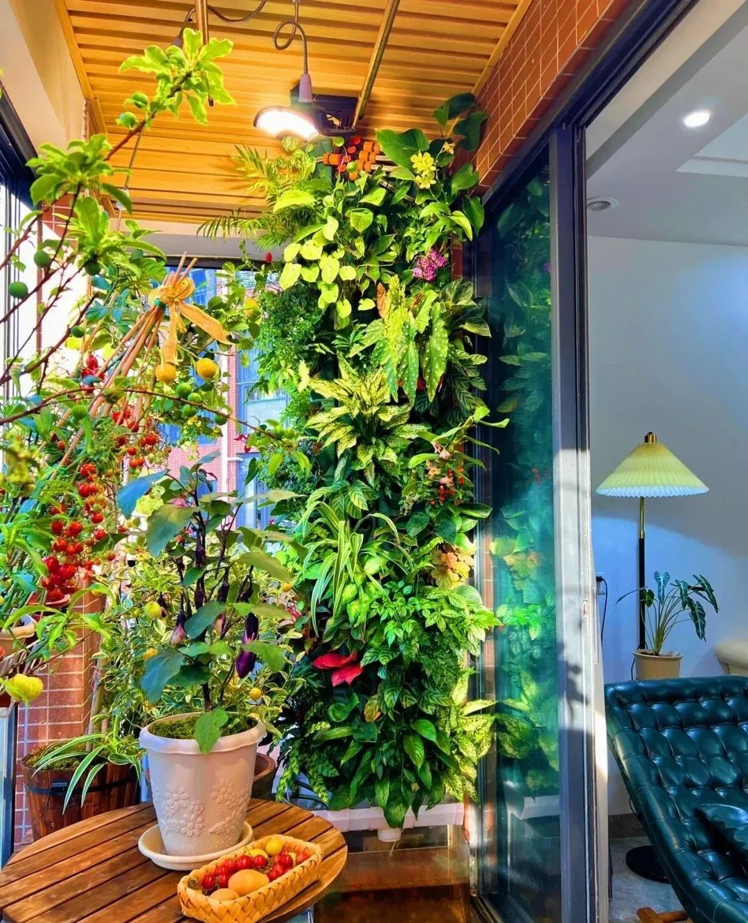 阳台花卉种养与布置(窗台花卉种养与布置图片)