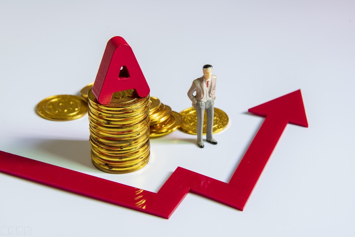 中国十大名贵中药材盘点，传统瑰宝引领健康养生新潮流