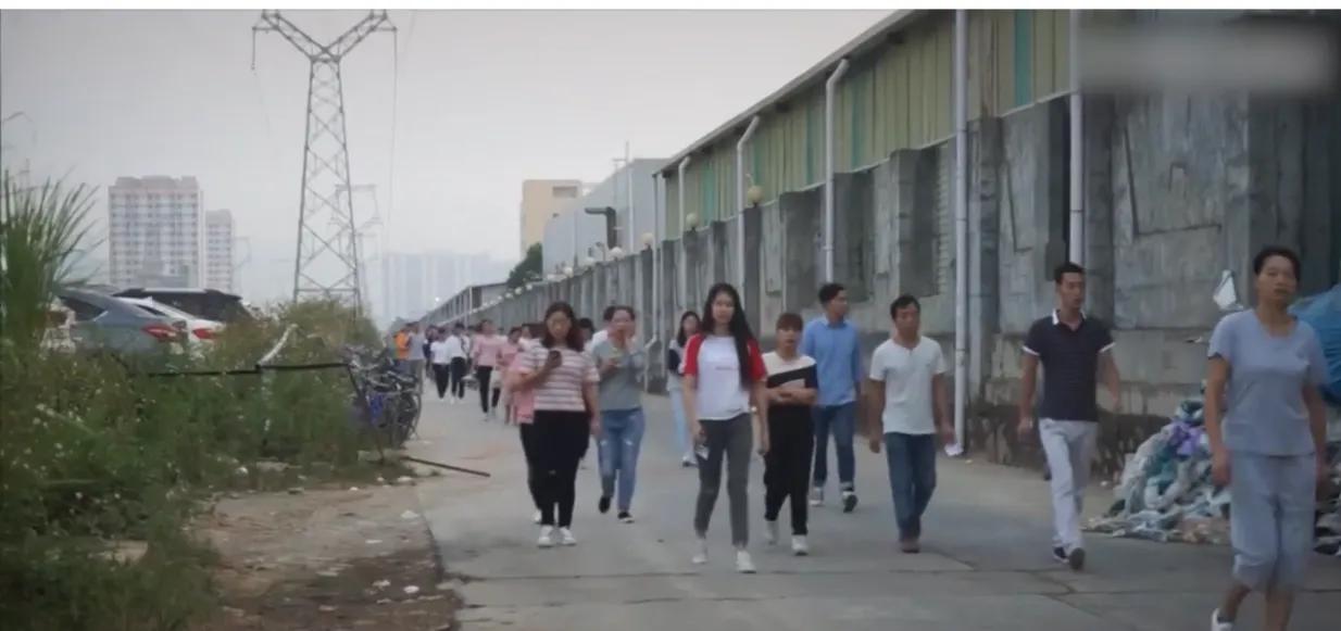 低学历打工人的真实现状，看完扎心