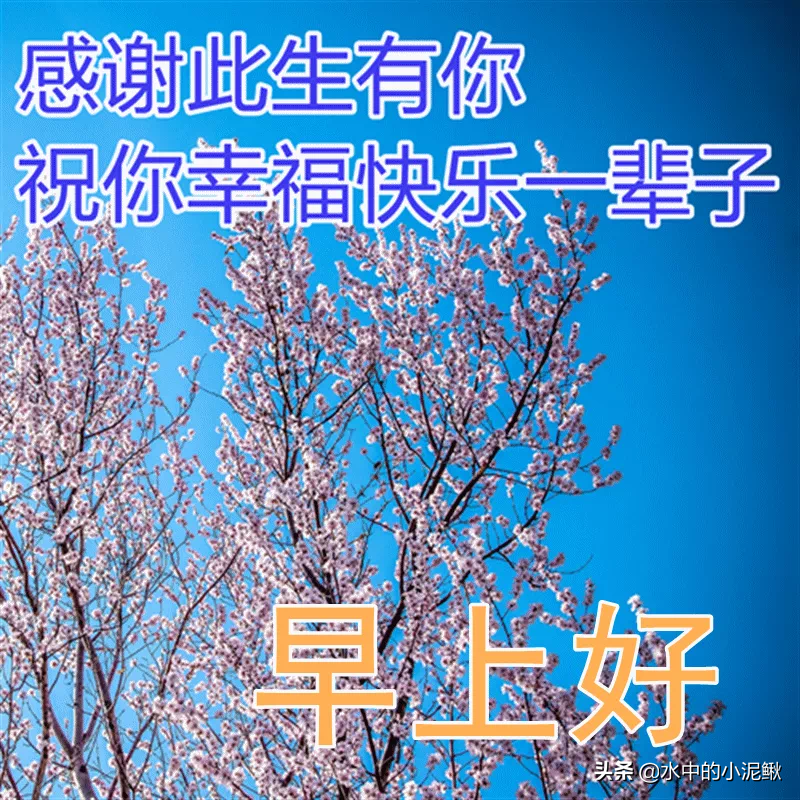 分享早安心语朋友圈励志语录，抖音经典语录正能量句子