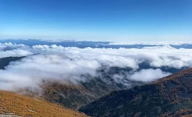 位于陕西境内，秦岭山脉最高峰，海拔3767.2，你知道是哪里吗