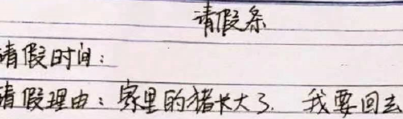 大学生“请假条”走红，理由“很真实”，辅导员看后忍不住捂鼻子