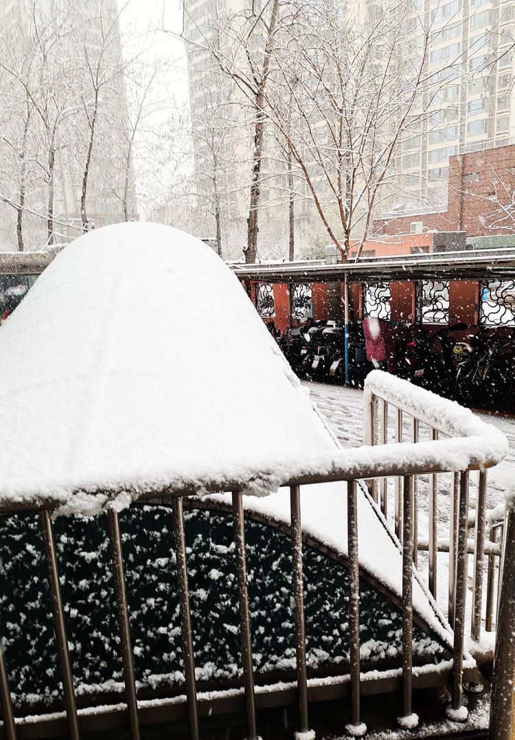 一场雪，让这里的春天真美 摄影/诗文：李武兵