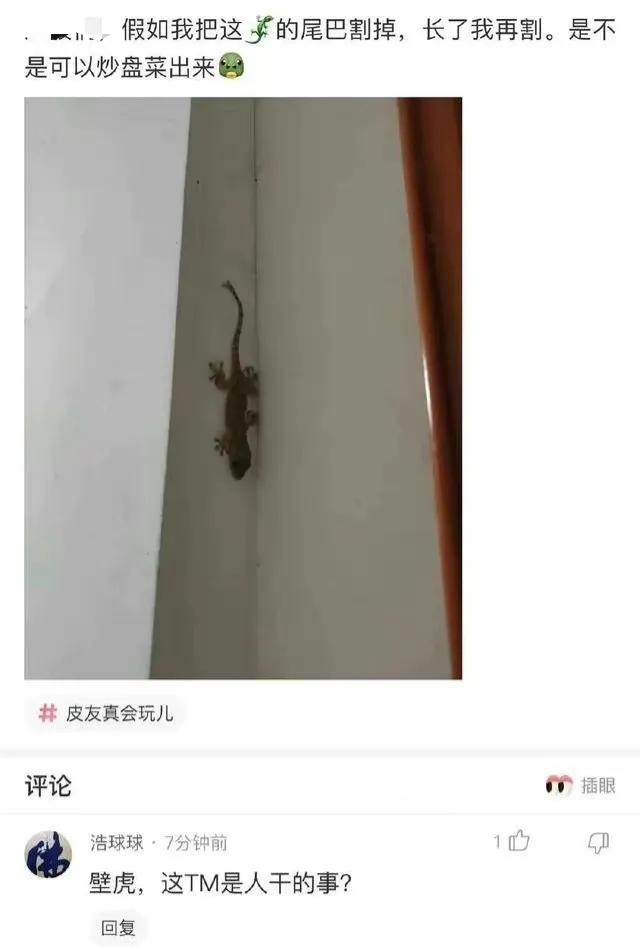 沙雕网友日常：文案撩得很追你又不肯，私信还叫我滚无情又残忍
