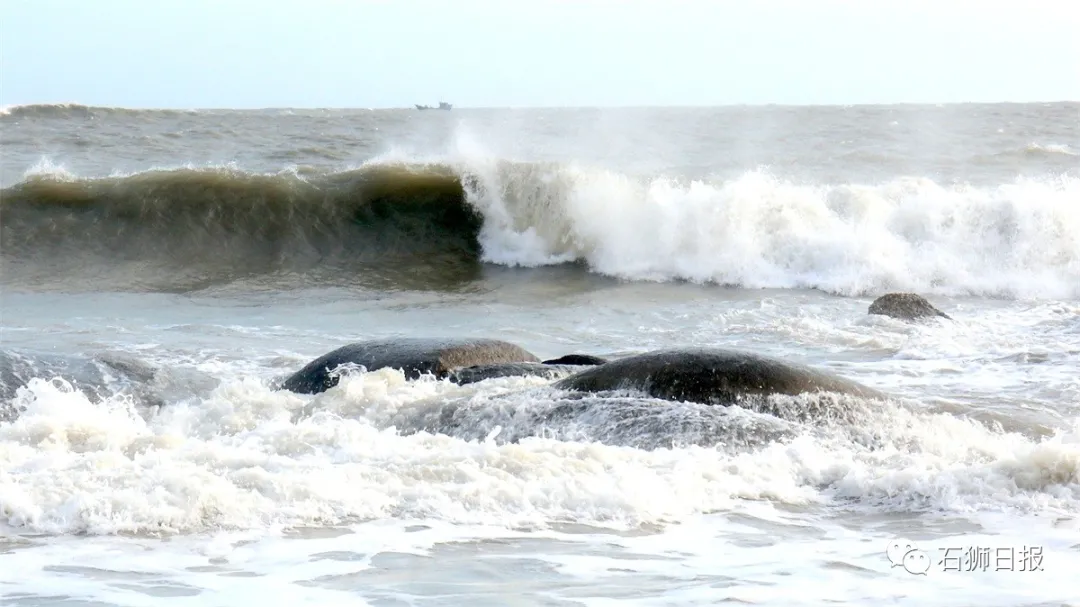 风劲潮涌浪高起，石狮海湾大风歌