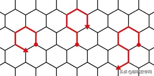 度米尼尔-柯平：数学研究是强社交活动