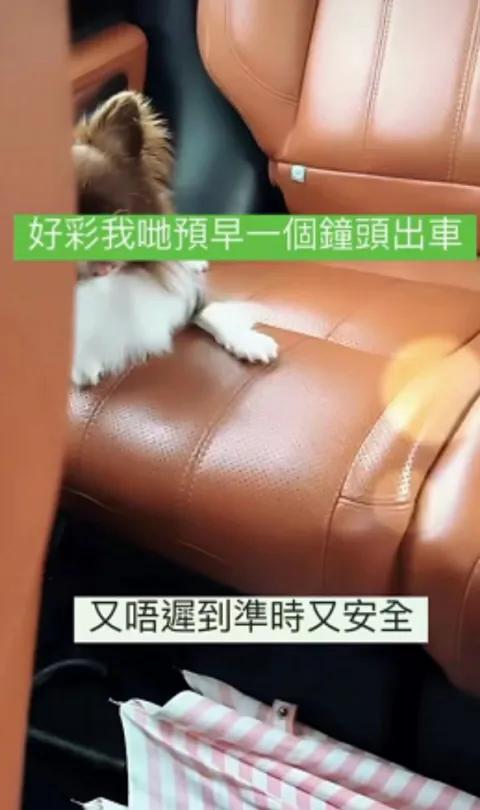 张柏芝为二儿子庆生，12岁Quintus长大成大帅哥，越来越像张柏芝