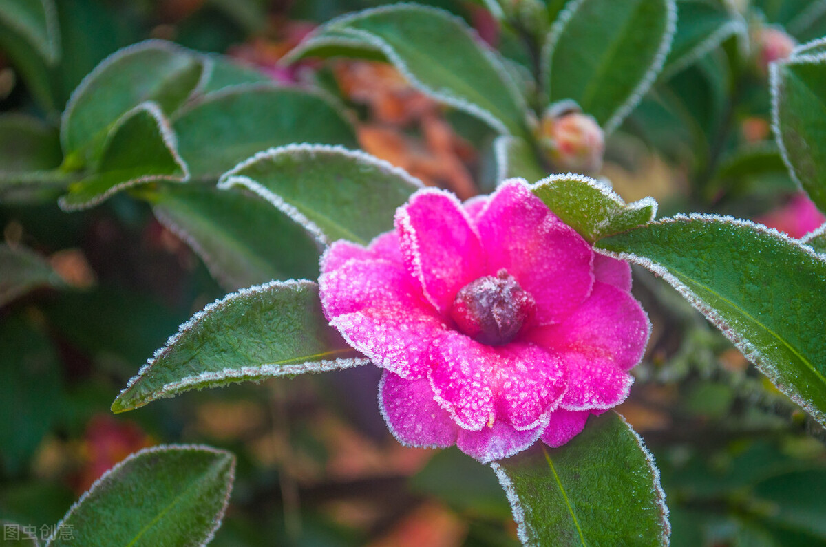 写作，就是注意力的争夺