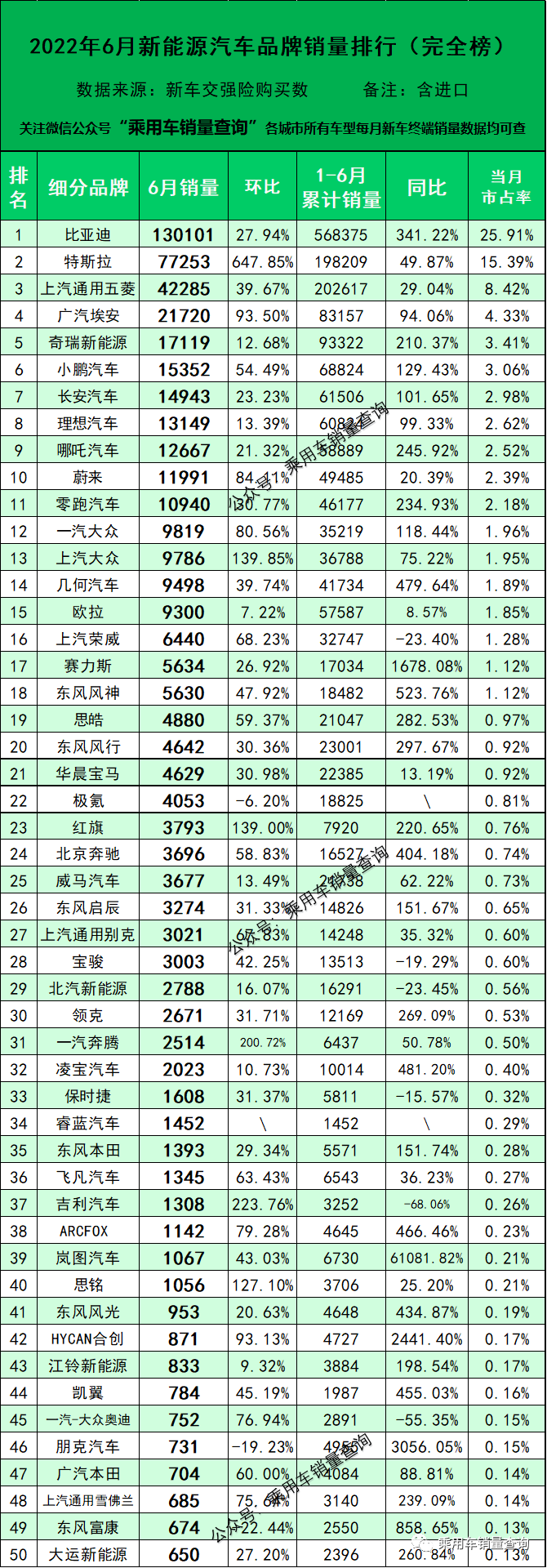 6月新能源汽车细分品牌终端销量排行榜