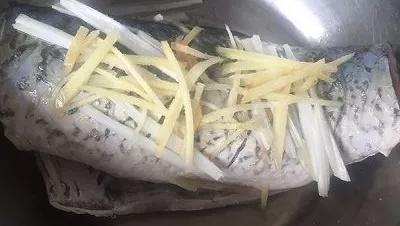 家常燉草魚(yú),家常燉草魚(yú)怎樣做好吃