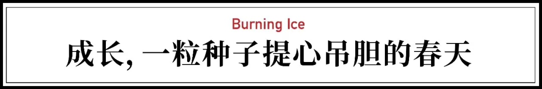 首部10后成长纪录片:几个北京中产家庭的教育观被热议