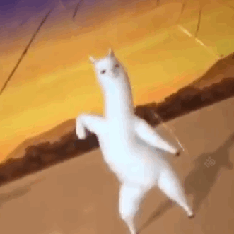 狂砸215亿！新增17.8万个学位！漳州未来5年教育规划曝光