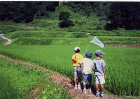 面对校园霸凌，孩子的一句话，让家长深思