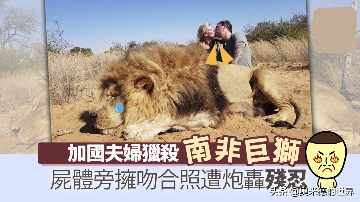 十种因人类活动而灭绝的动物，再见“长江女神”白鳍豚