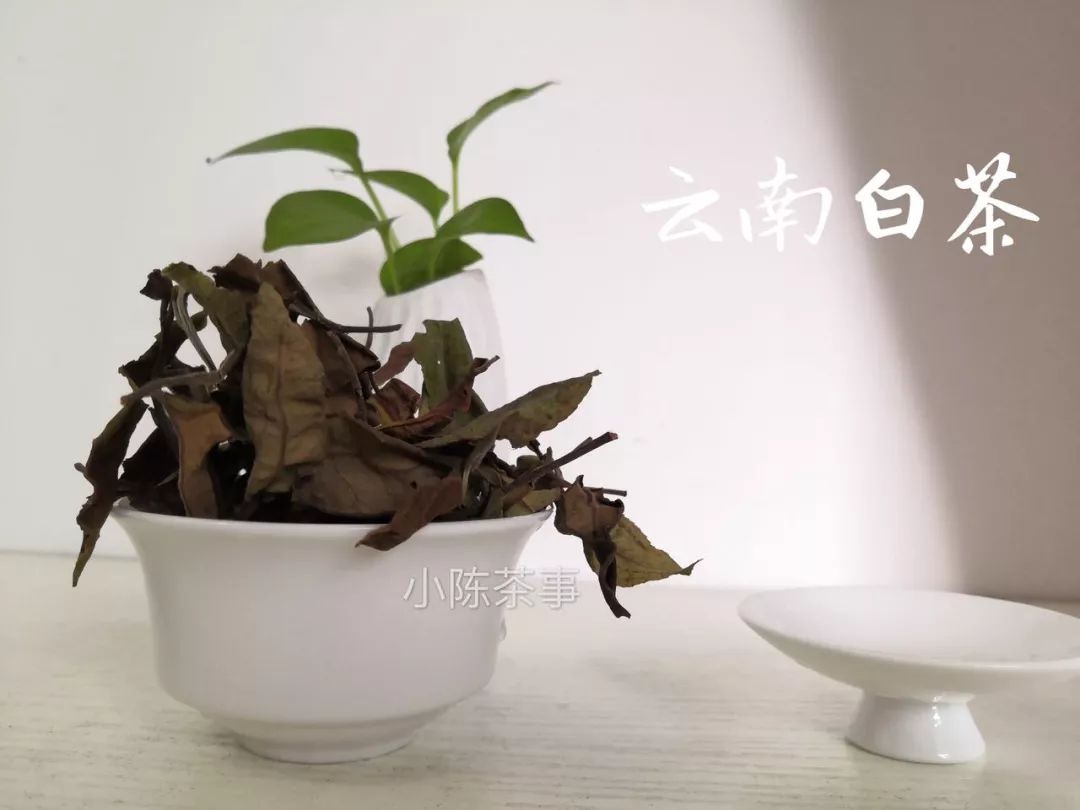 龙井茶属于(既然大红袍、铁观音都是乌龙茶，那么乌龙茶到底是红茶还是绿茶？)