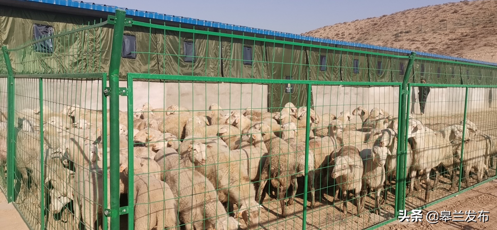 ������ʯ�����ˮ�壺��ֳ��ӭ����һ���������ˡ� Ϊ�弯�徭�÷�չע������ѪҺ