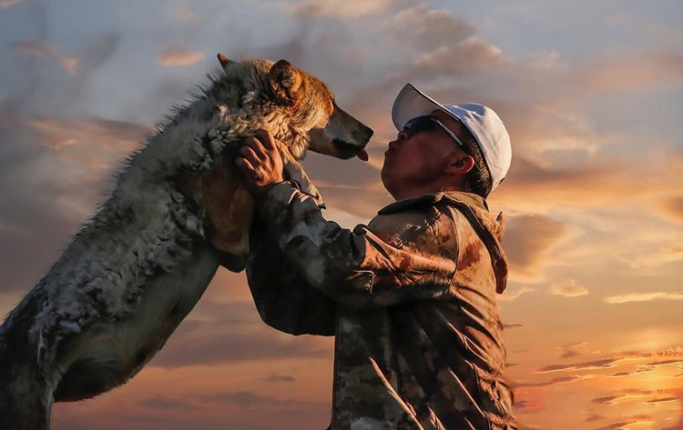 东北猎人抓到怀孕母狼,不忍伤害将它放生,结局让人意想不到