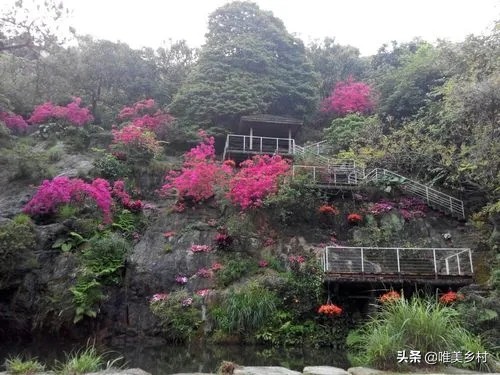 乡村产业发展，如何有效利用“四荒地”？5大创意玩法值得借鉴