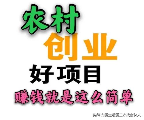 低成本暴利行业(六大隐藏在农村的暴利小项目，只要愿意干，基本都能发家致富)