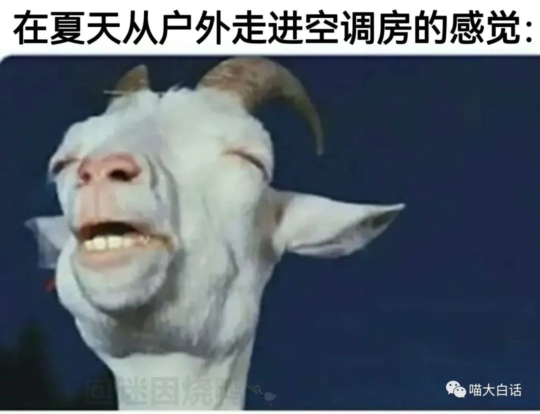 跟刘亦菲演对手戏有多难？哈哈哈哈哈这心路历程笑死我