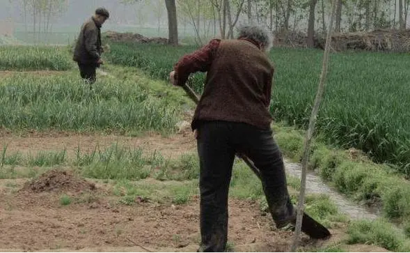 河北男孩逆袭记：9岁捡废品照顾瘫痪母亲，18岁744分考上清华大学